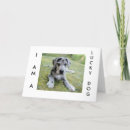 Search for great dane birthday cards Photography
