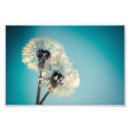 Search for make a wish art Teal