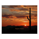 Recherche de saguaro cactus posters Arizona