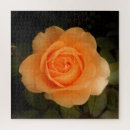 Search for amber puzzles Orange