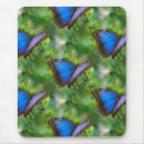 Recherche de papillon bleu tapis souris Nature