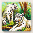 Recherche de tigre blanc dessous de verres Gros chats
