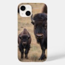Search for bison iphone cases Wildlife