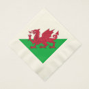 Search for draig Flag