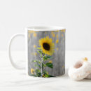 Search for yellow sunflower mugs Photograph
