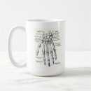 Recherche de anatomie tasses Docteur