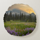 Search for indian pillows Landscape