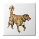 Search for scotia tiles Dog