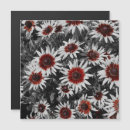 Recherche de susans magnets Nature