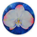 Recherche de fleurs blanches boutons et poignées de porte Aquarelle