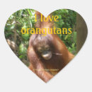 Recherche de apex autocollants Bornéo