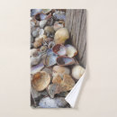 Recherche de coquille de plage maison deco Côte