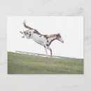 Search for vitality postcards Wildlife