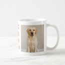 Search for labrador dad mugs Yellow lab dad