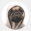 Search for hoodie stickers Dog