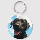 Search for black labradors keychains Labs