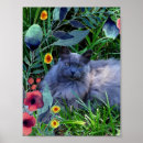 Search for russian blue cat art Pet