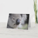 Recherche de ours koala vœux cartes Animal