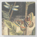 Search for dragonfly coasters Botanical