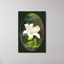 Recherche de peinture animaux articles Vert