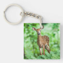 Search for bambi keychains Deer