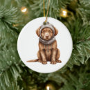 Search for chesapeake bay retriever ornaments Puppy