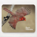 Recherche de diriger tapis souris Oiseaux et fleurs