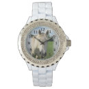 Recherche de cheval gris montres Chevaux