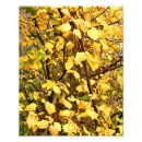 Recherche de saison art Feuilles d'automne