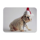 Recherche de chapeau de père noël cartes Animal