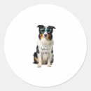 Search for merle stickers Animal