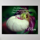 Search for lady slipper posters Flower