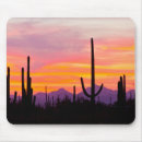 Search for deserted mousepads Mountain