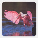 Search for sanibel stickers Wildlife