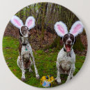 Recherche de grande oreille badges Chien
