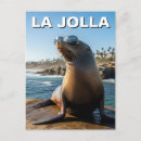 Search for la jolla ca postcards Coast