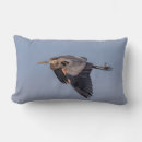 Recherche de héron bleu coussins Oiseau