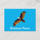 Recherche de les aigles cartes visite Aigle chauve