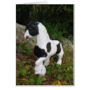 Recherche de gitan cartes postales Animal