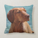Search for vizsla pillows Animal