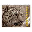 Search for leopard calendars Nature