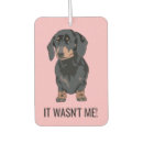 Search for dachshund car air fresheners Pet