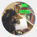 Search for jane stickers School