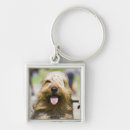 Search for tongue keychains Dog