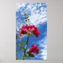 Search for hollyhocks posters Garden