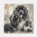 Recherche de chien terre neuve magnets Chiot