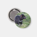 Search for tasmanian devils magnets Marsupial