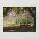 Recherche de banc parc cartes postales Arbres