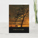 Search for put cards Horse