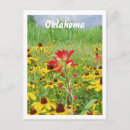 Recherche de indienne cartes postales Fleurs